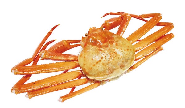 【群馬県内発】 越後秋の大収穫祭ワンツースリー! 紅ズワイガニ1杯 新米2㎏ 野菜3種詰め放題 日帰り1